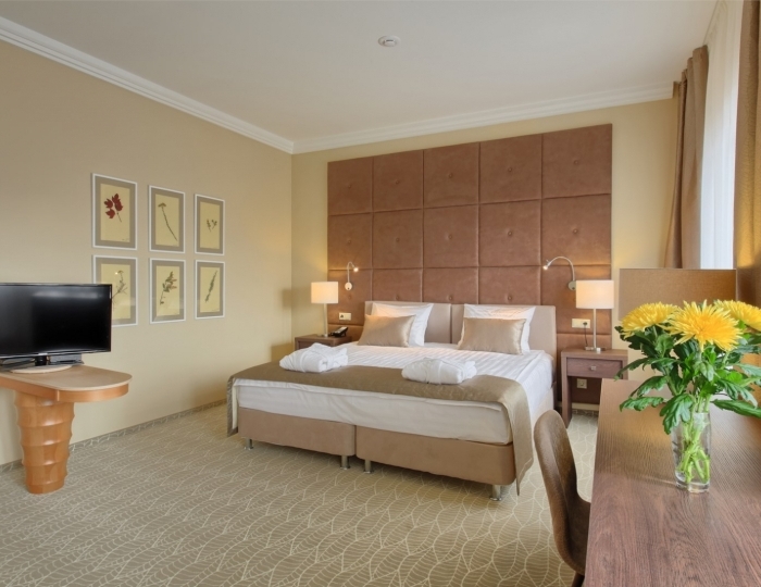 Делюкс двухместный (корпус А,Б) 4* - Санаторий «Машук Аква-Терм» Железноводск