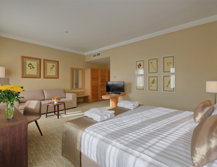 Делюкс двухместный (корпус А,Б) 4* - Санаторий «Машук Аква-Терм» Железноводск