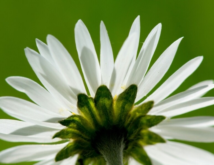 Базовая программа - Лечебные программы - Санаторий «Машук Аква-Терм» Железноводск