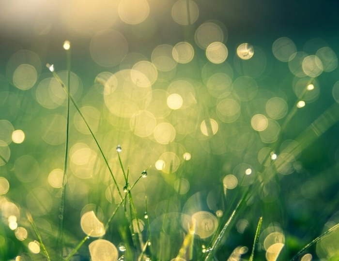 Лечение сахарного диабета - Санаторий «Машук Аква-Терм» Железноводск