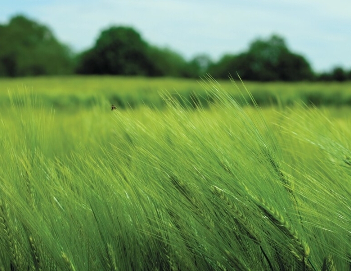 Программа «Антитабак» - Лечебные программы - Санаторий «Машук Аква-Терм» Железноводск